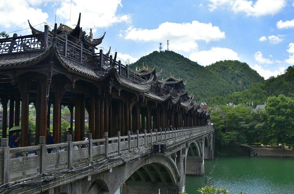 知识星球平台怎么做馒头?,汇聚顶尖学术资源